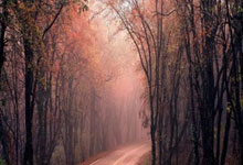 非凡体育娱乐：[NBA]赢了！扳回一场避免被横扫.