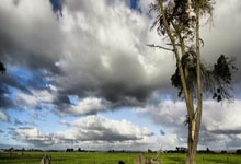 女足欧冠1／4决赛首回合：皇马2-0阿森纳 拜仁0-2里昂.