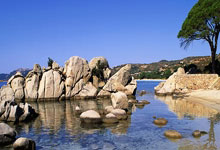 [NBA]亚历山大31分 雷霆客场击败雄鹿.